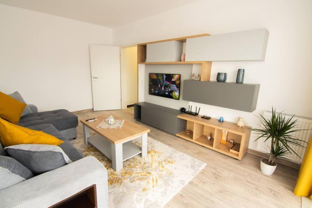 Apartment Apolodor Apartament Brasov